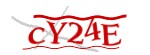 Enter the character string shown in the picture