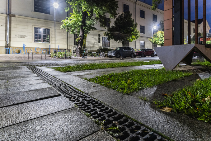 Małopolski Ogród Sztuki DSC2323