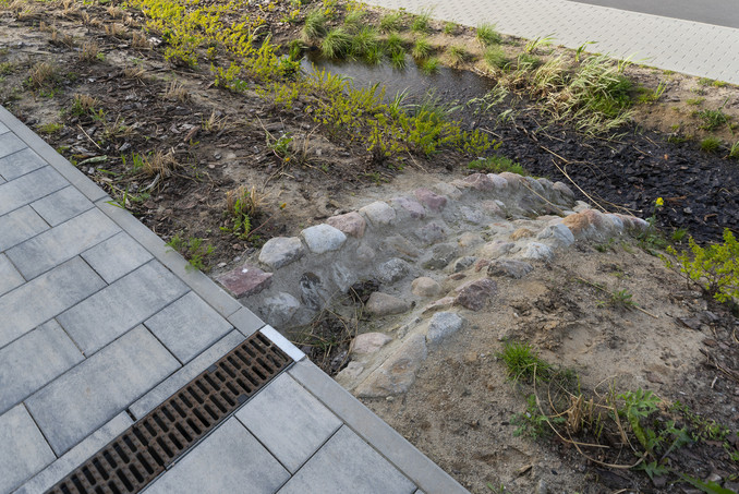 Ogród Deszczowy Gdynia Osiedle Beauforta  Suds
