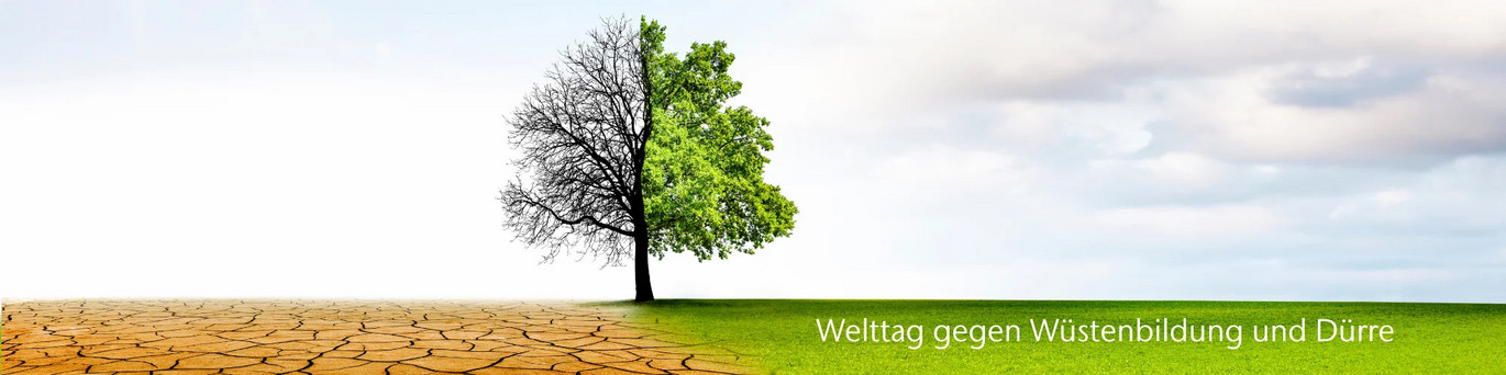 ACO DE Website Banner - Header Welttag gegen Wüstenbildung und