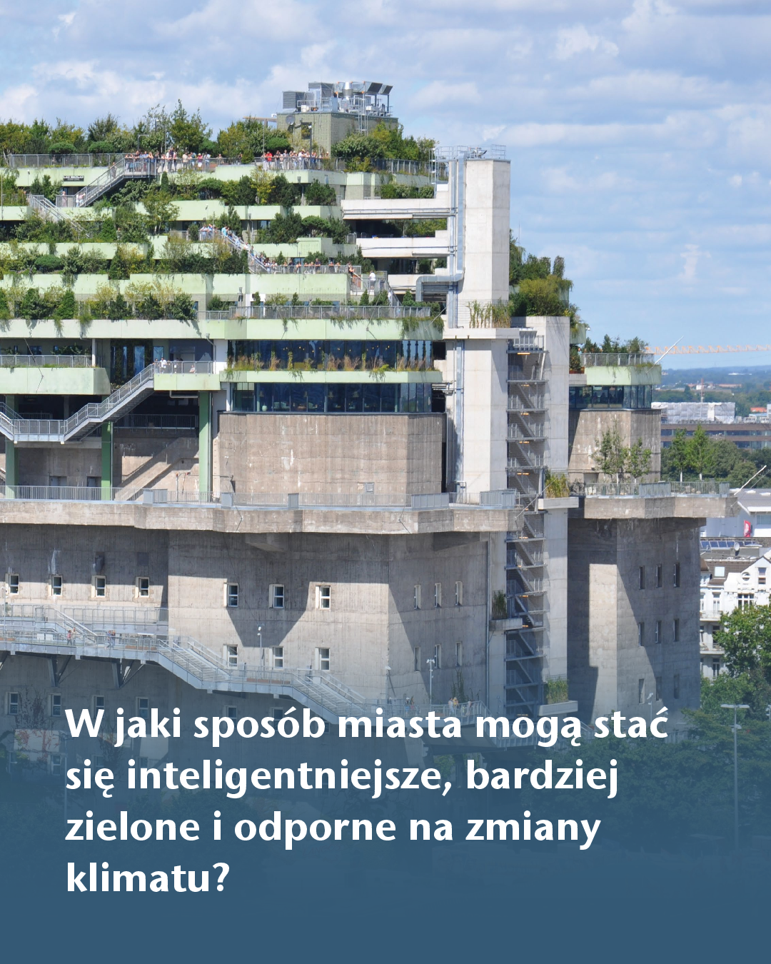 Sponge_City_PL.pdf