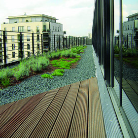 Profiline Buche Maintriangel Ffm 005