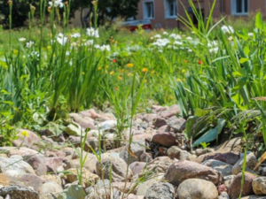 Projekt Bez Nazwy  9