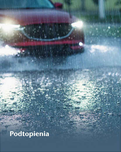 1  Problems Without Green Cities PL-2