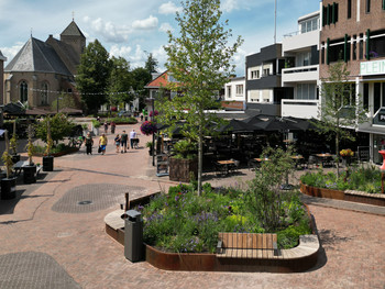 Blue-green transformation in the city centre of Raalte, Netherlands