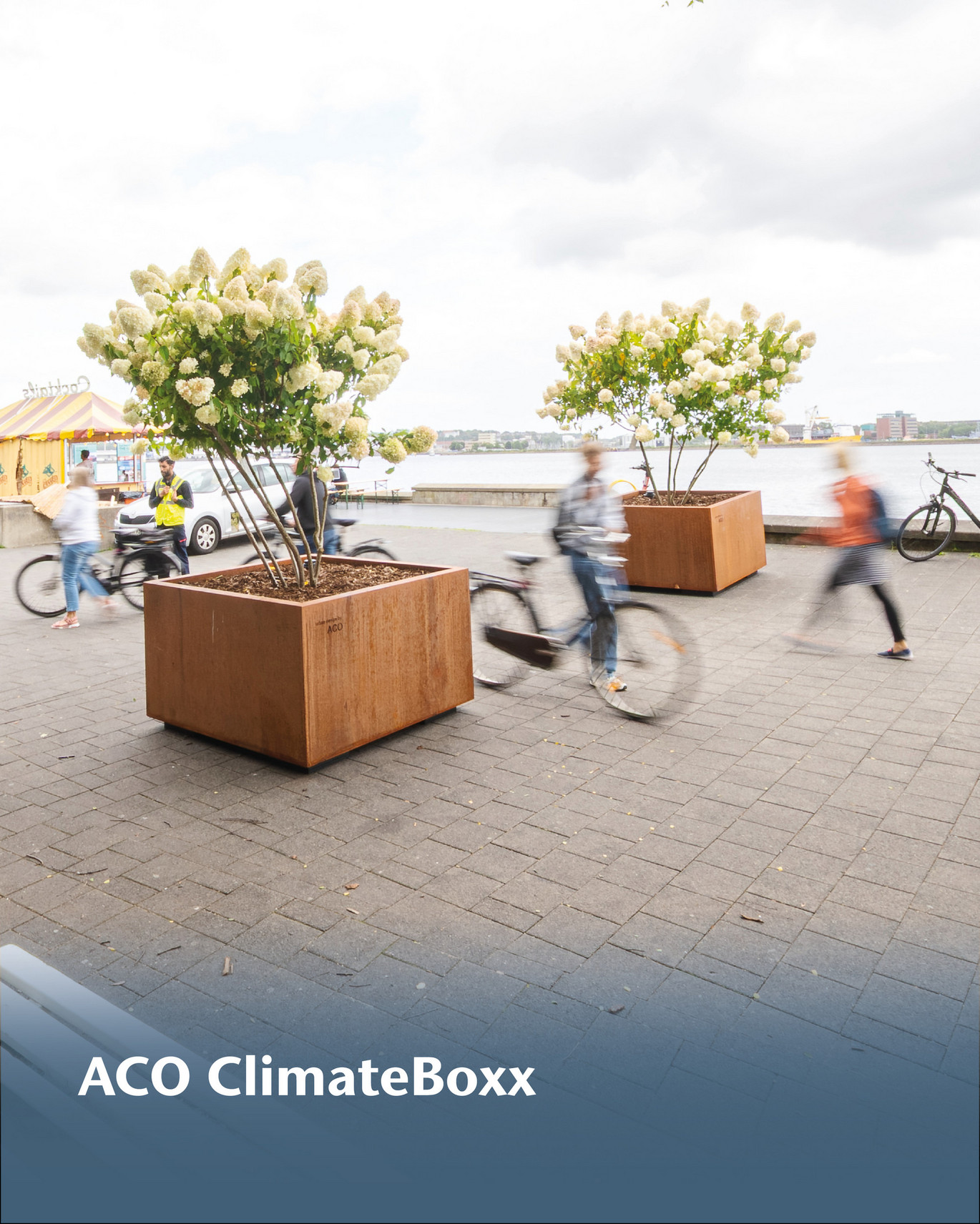 5 ACO Products Slide-4