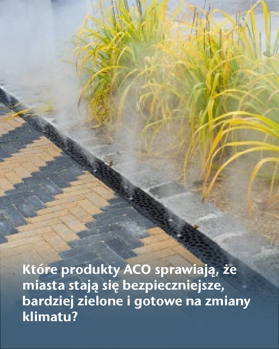 5_ACO_Products_PL.pdf