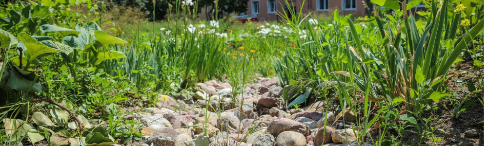 Projekt Bez Nazwy  9 